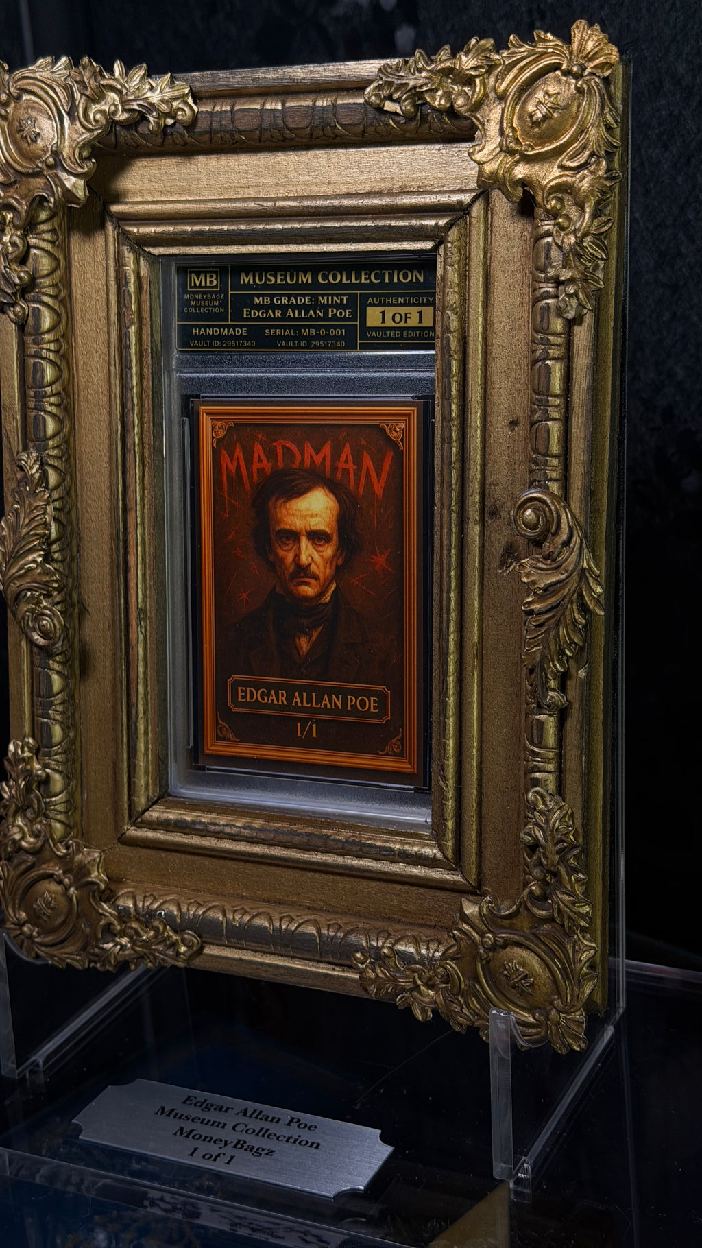 EDGAR ALLAN POE - MADMAN